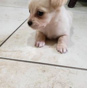 Meet your Posher, Jaylee